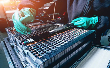 z6com������(�й�)�ٷ���վ
